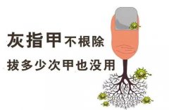 ϾƻָҪǮ